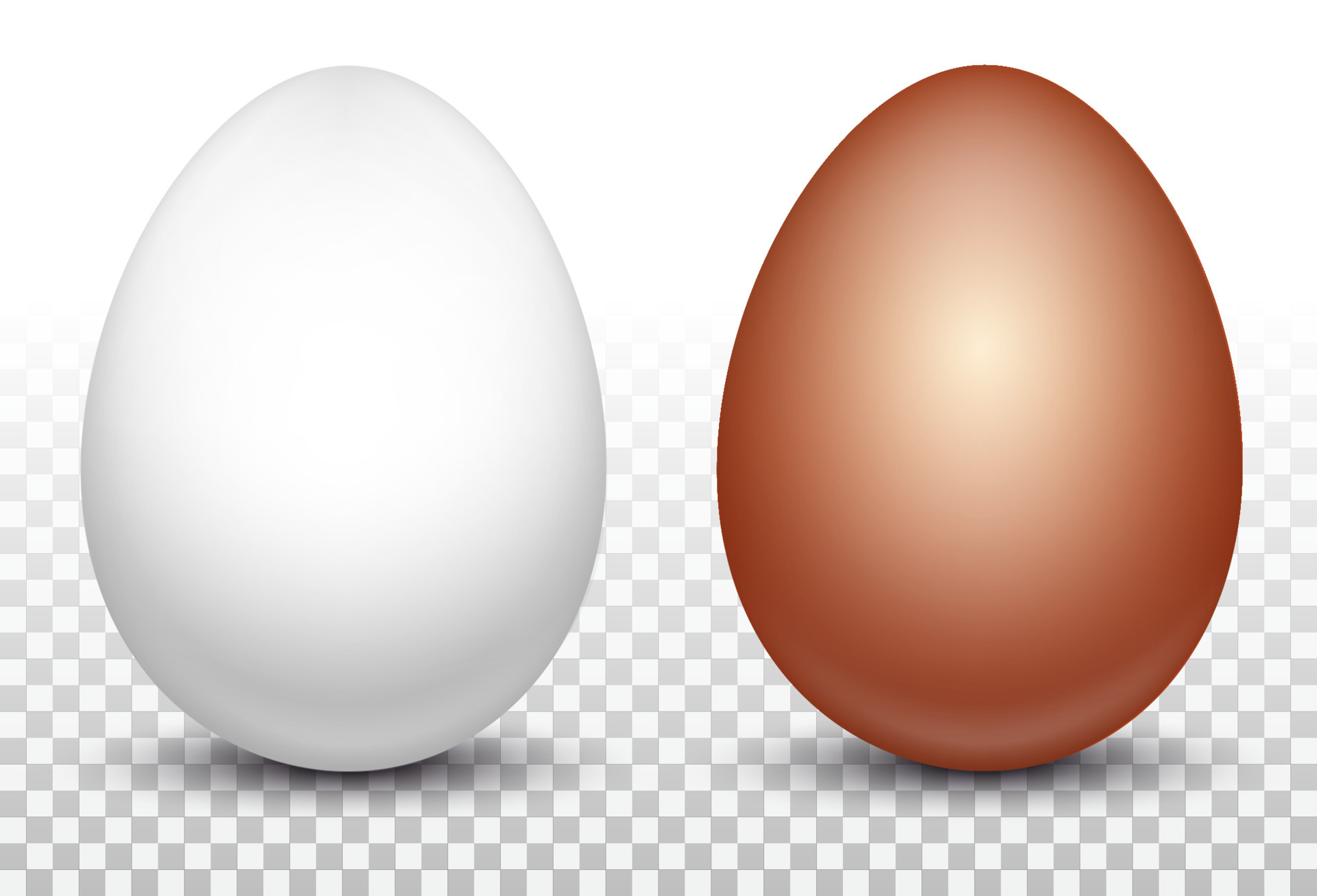 Premium Vector  Png vector eggs realistic white and brown egg on isolated  transparent background easter holiday