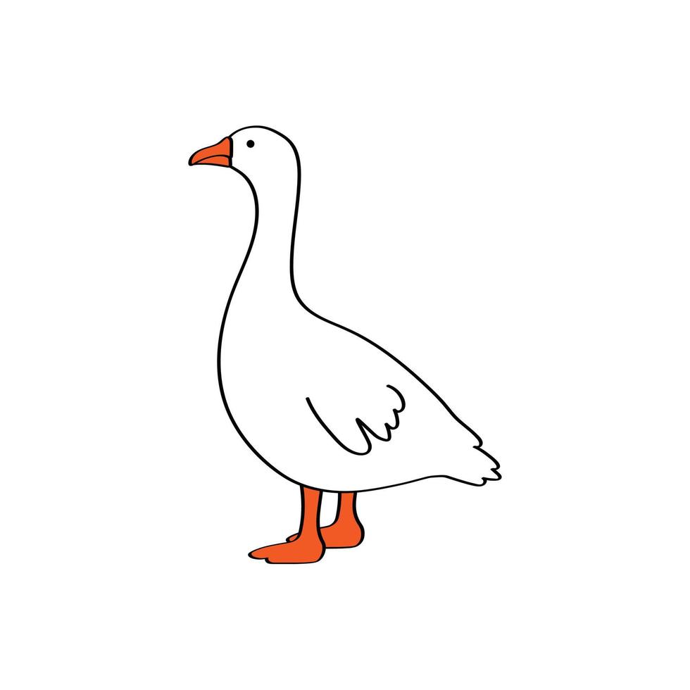 ganso de dibujos animados blanco vectorial aislado sobre fondo blanco. dibujo en estilo de esquema de aves de corral de pie con pico rojo y cuello largo vector