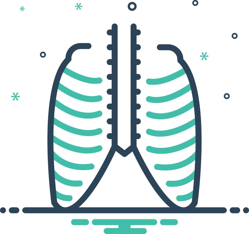 Mix icon for thorax vector