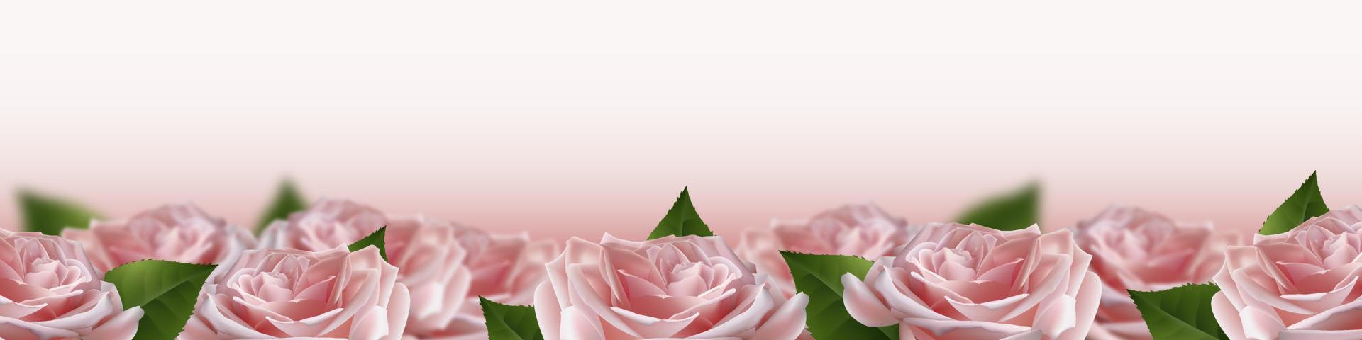 Realistic pink 3d rose flowers on white background. Vector illustration