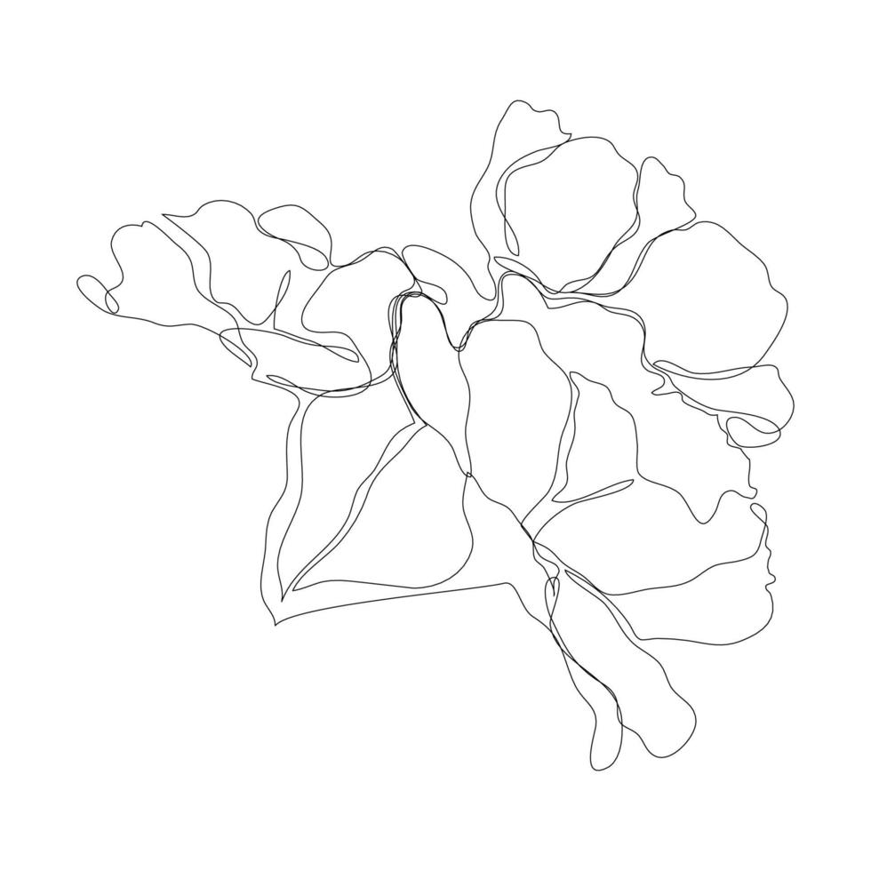 flor de pión continua de una línea. contorno oscuro sobre fondo blanco. contorno de flor simple. ilustración vectorial vector