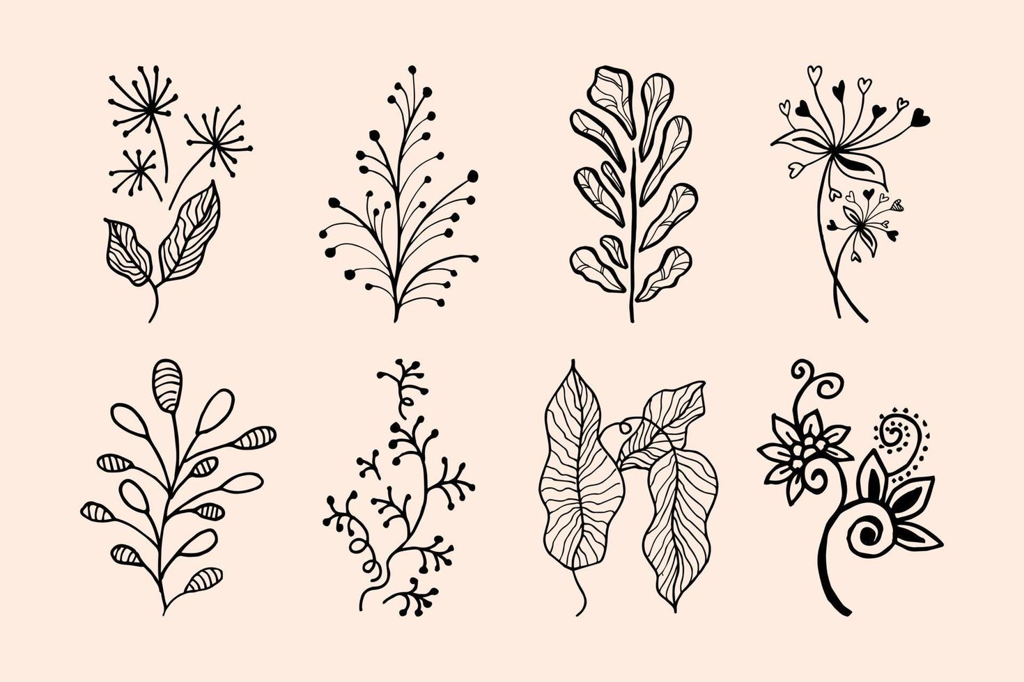 elementos florales de diseño vectorial dibujado a mano vector