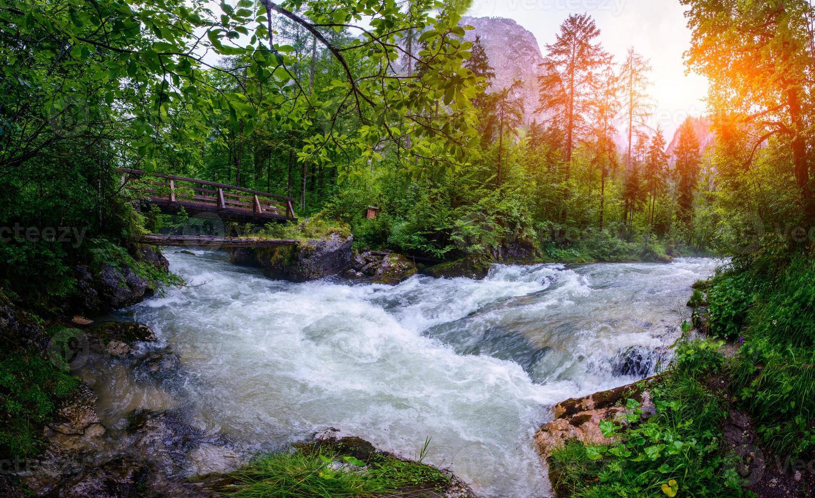 fast river in the forest photo