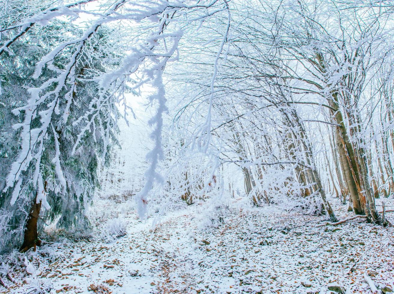 paisaje de invierno soleado foto