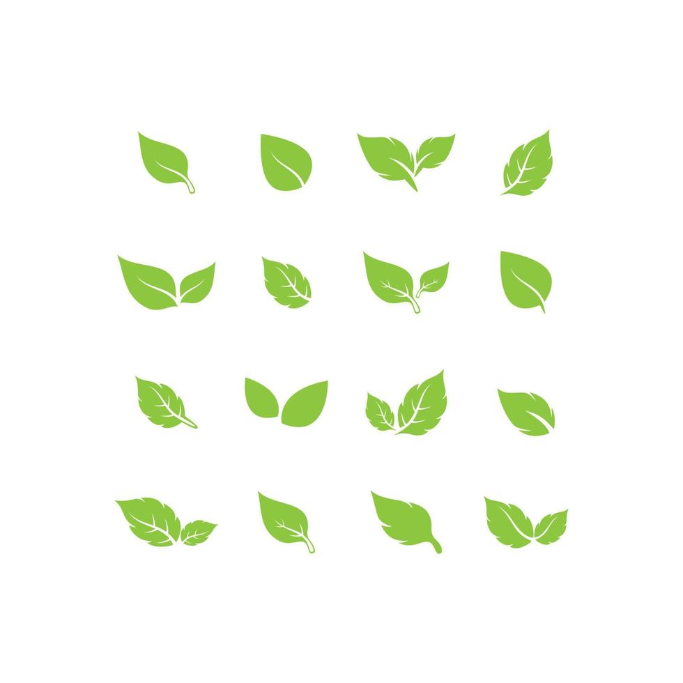 Paquete de colección completa de vector de logotipo de símbolo de hoja verde único