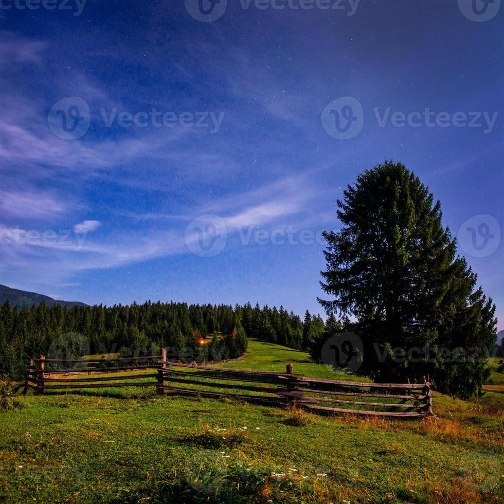 Colorful summer landscape photo