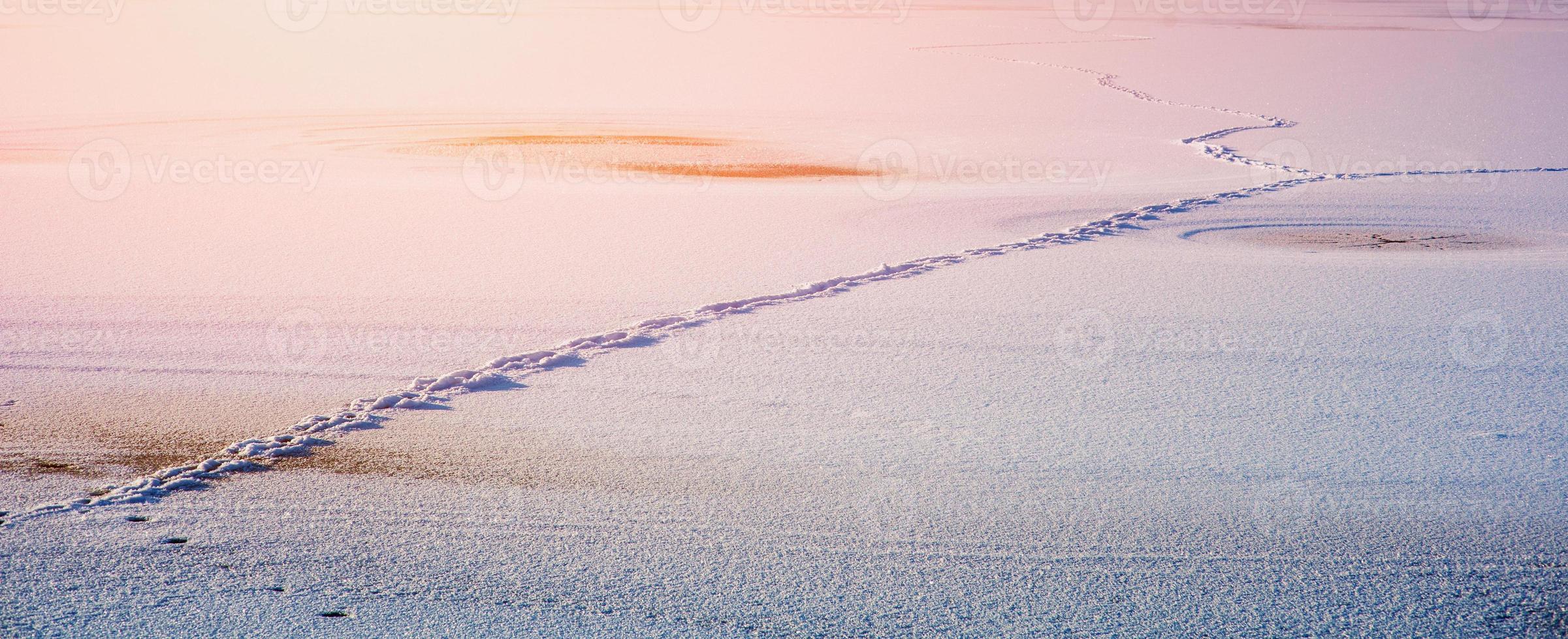 Footsteps on the snow photo