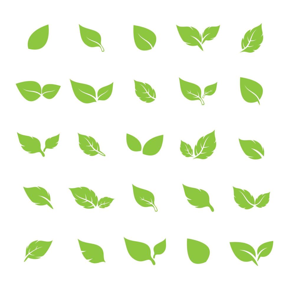 unique green leaf symbol logo vector complete collection bundle