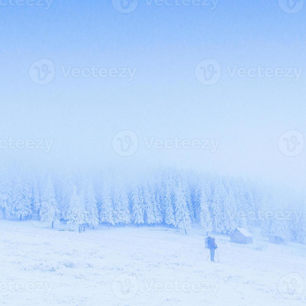 niebla fantástica en las montañas foto