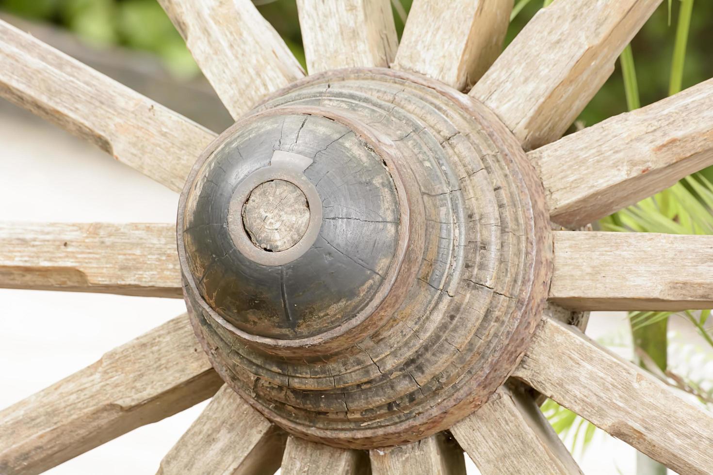 The wood wheel of a cart or buckboard. photo