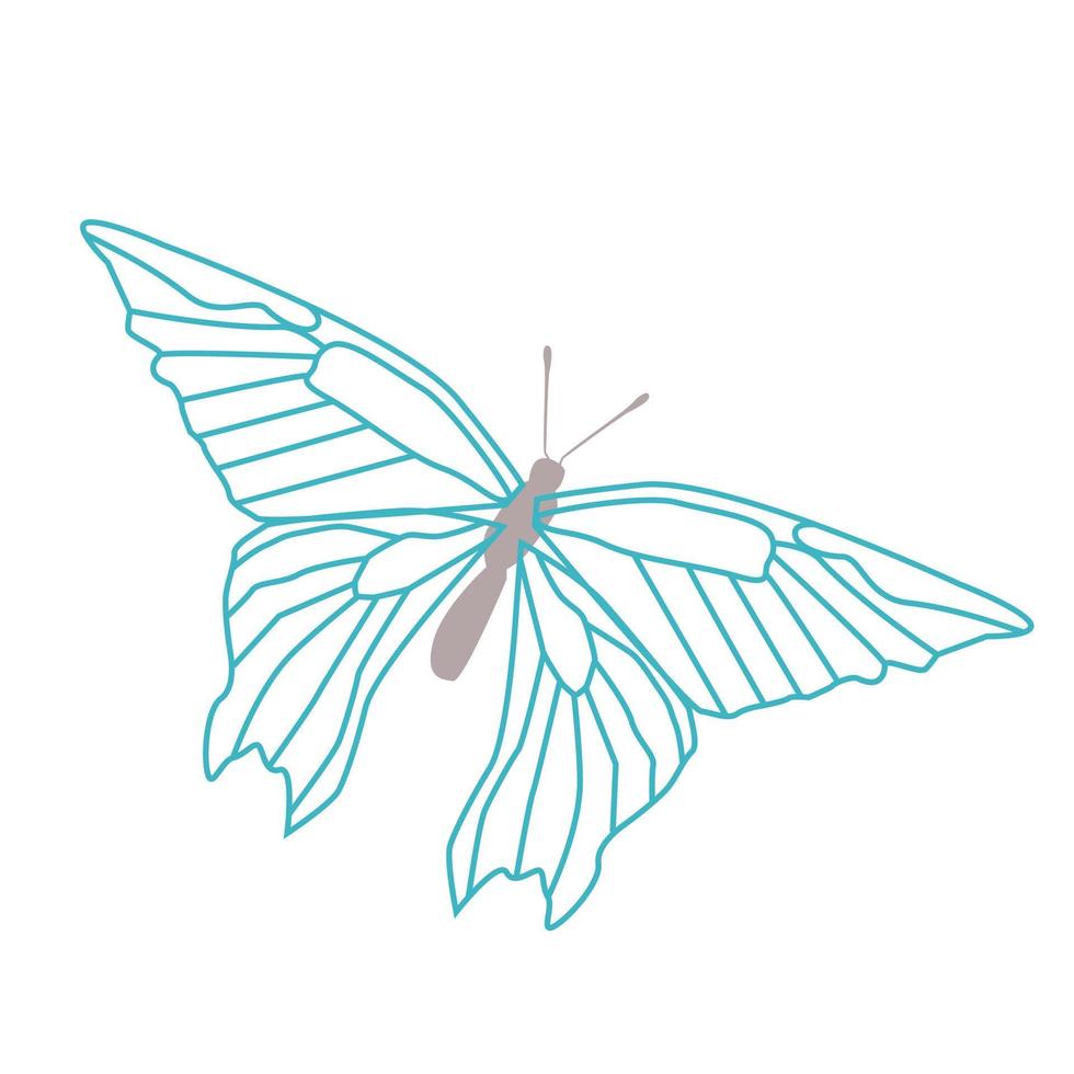 mariposa azul en estilo de contorno vector