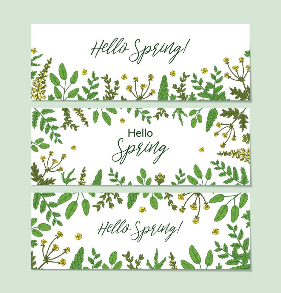 Set of spring banners with green floral elements. Hand drawn vector illustration