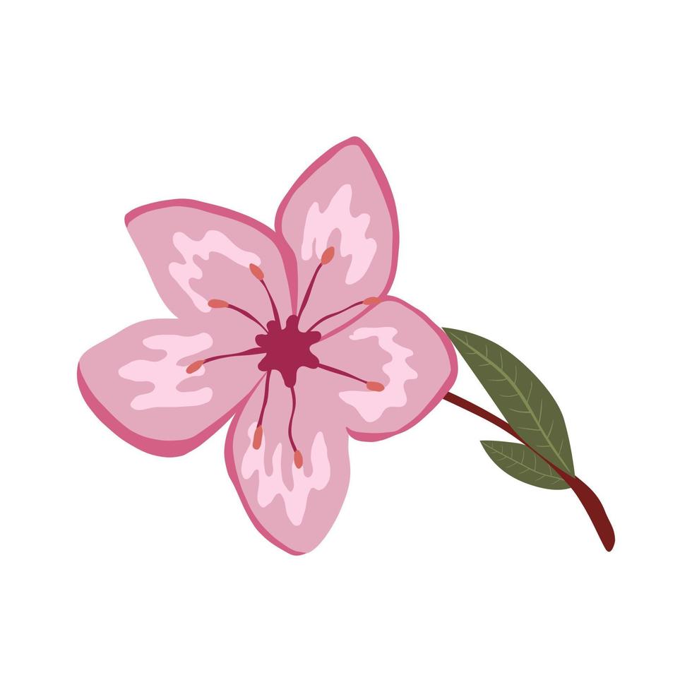 Cute spring cherry blossom vector isolated illustration