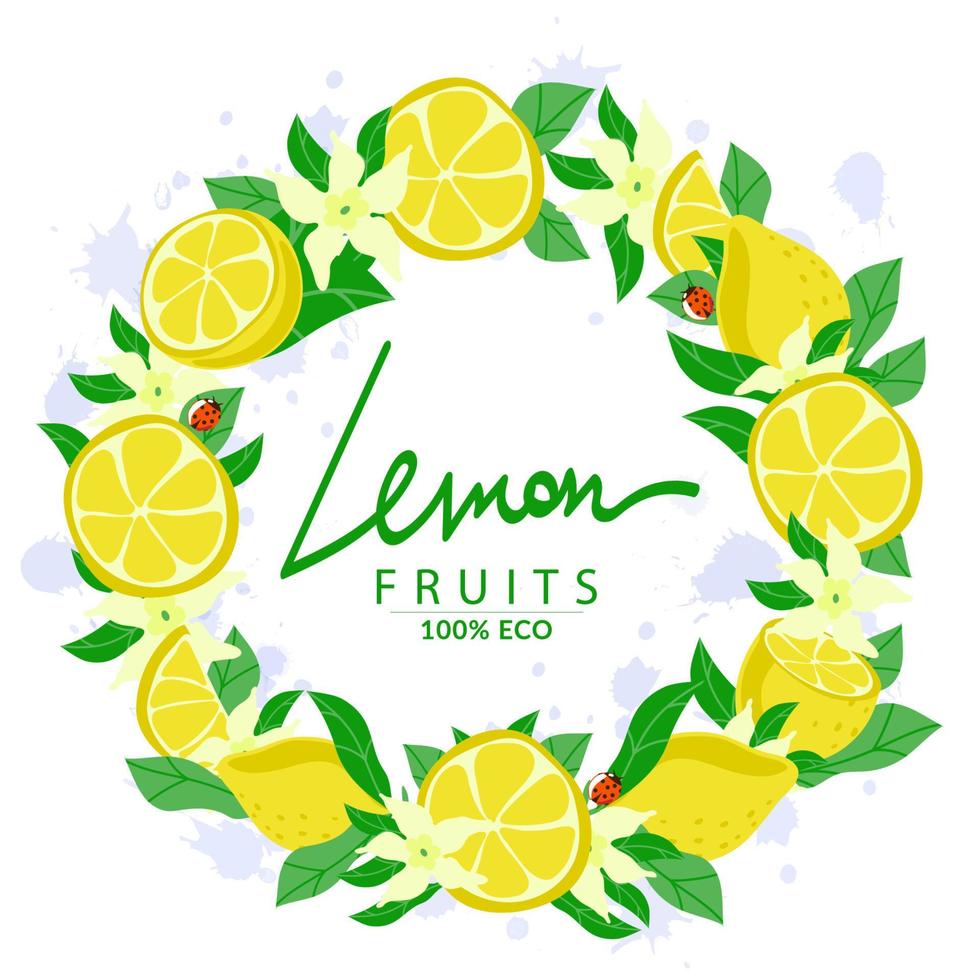 Holiday wreath decorated with ripe yellow lemons, cartoon style painted elements. Isolated on white background. Juice blobs. Ladybugs. Sample poster, party invitation, holiday banner, postcard vector