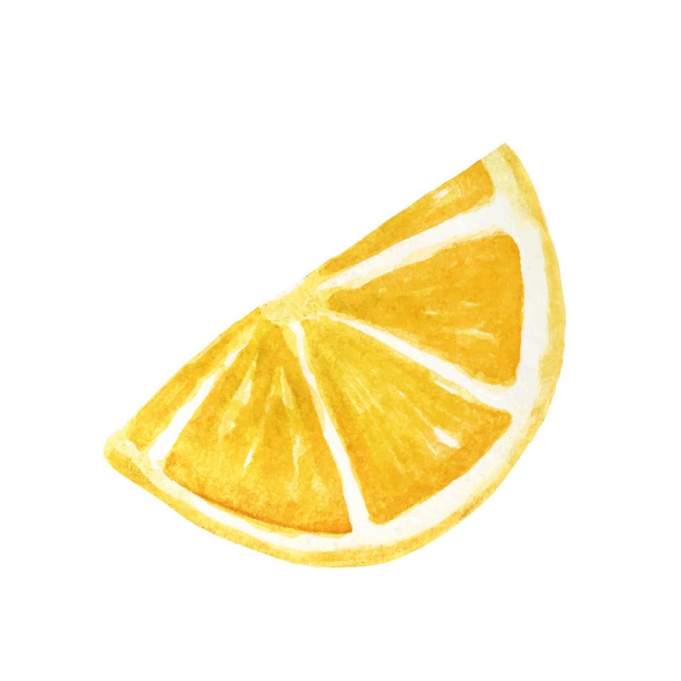 Lemon slice in watercolor. Vector element