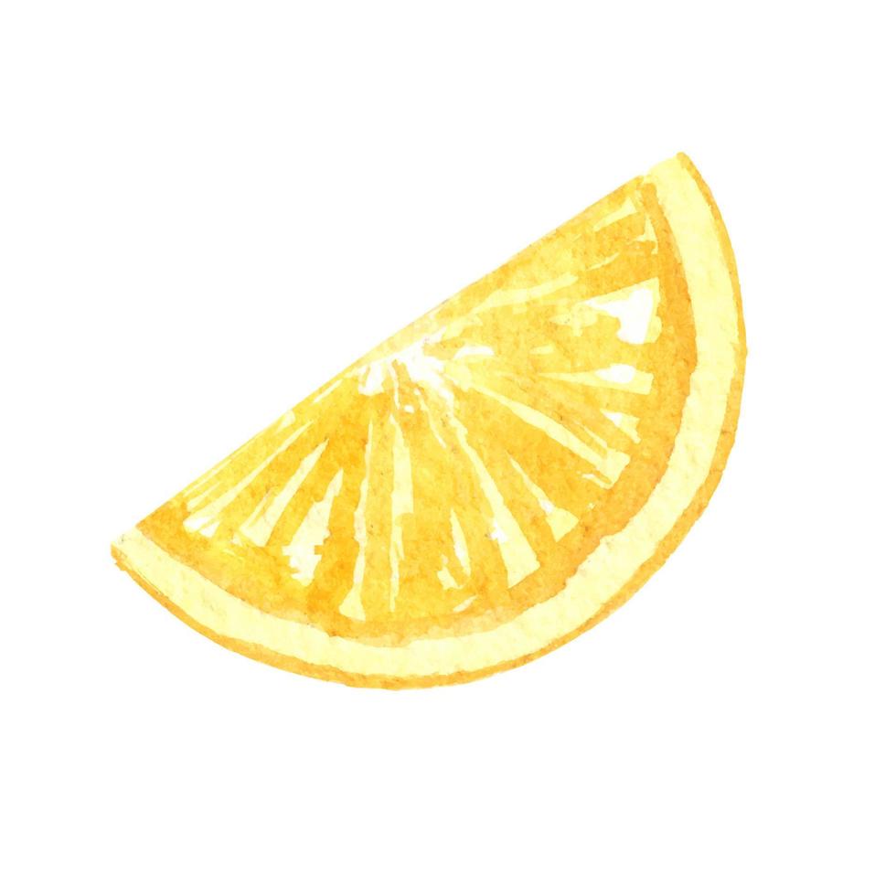 Lemon slice in watercolor. Vector element