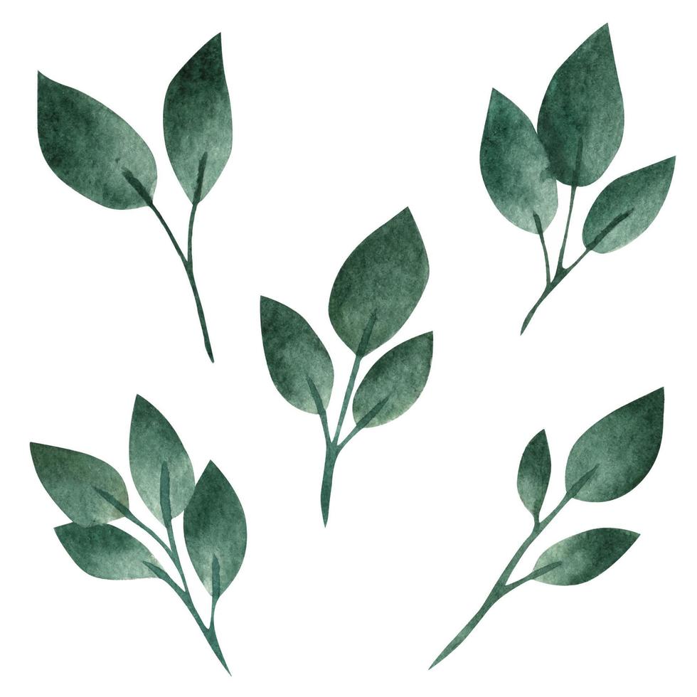 Green leaves, watercolor set vector