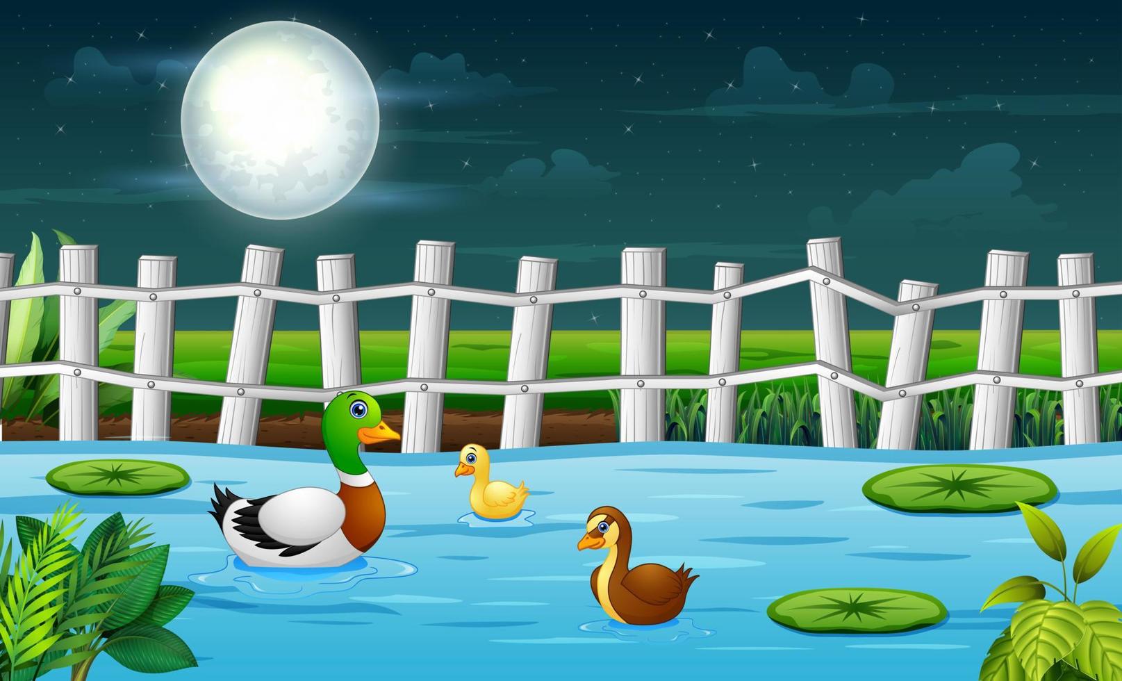 A mother duck and her ducklings swimming in a pond at night vector