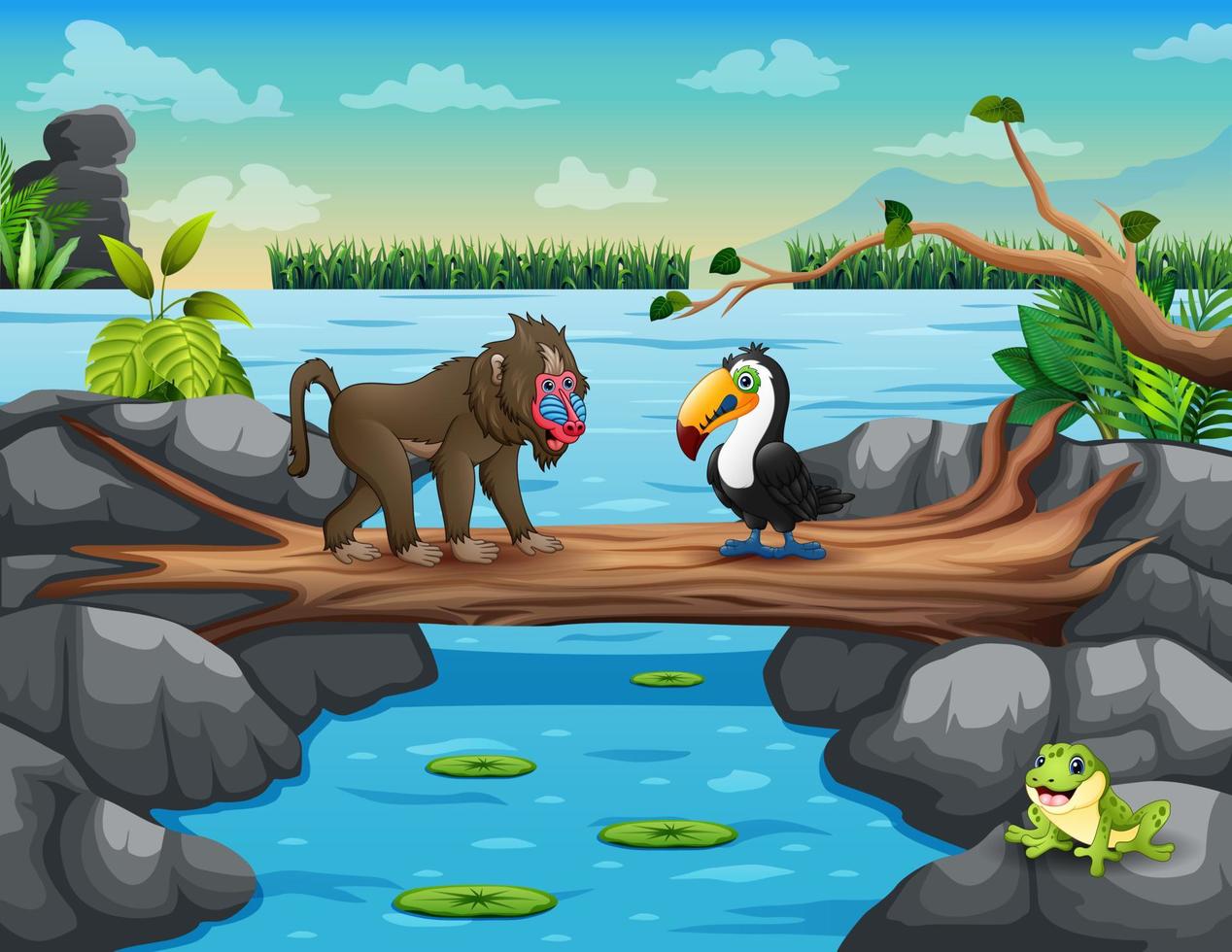 lindo babuino de dibujos animados y tucán cruzando el río vector