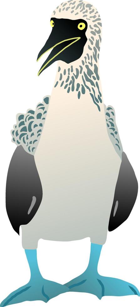 Gannet bird with a blue foot. Flat vector surprised booby solan illustration figure