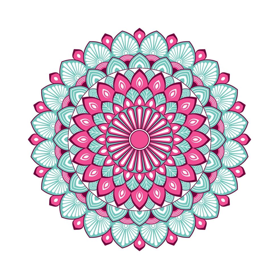Colorful mandala with floral shapes vector