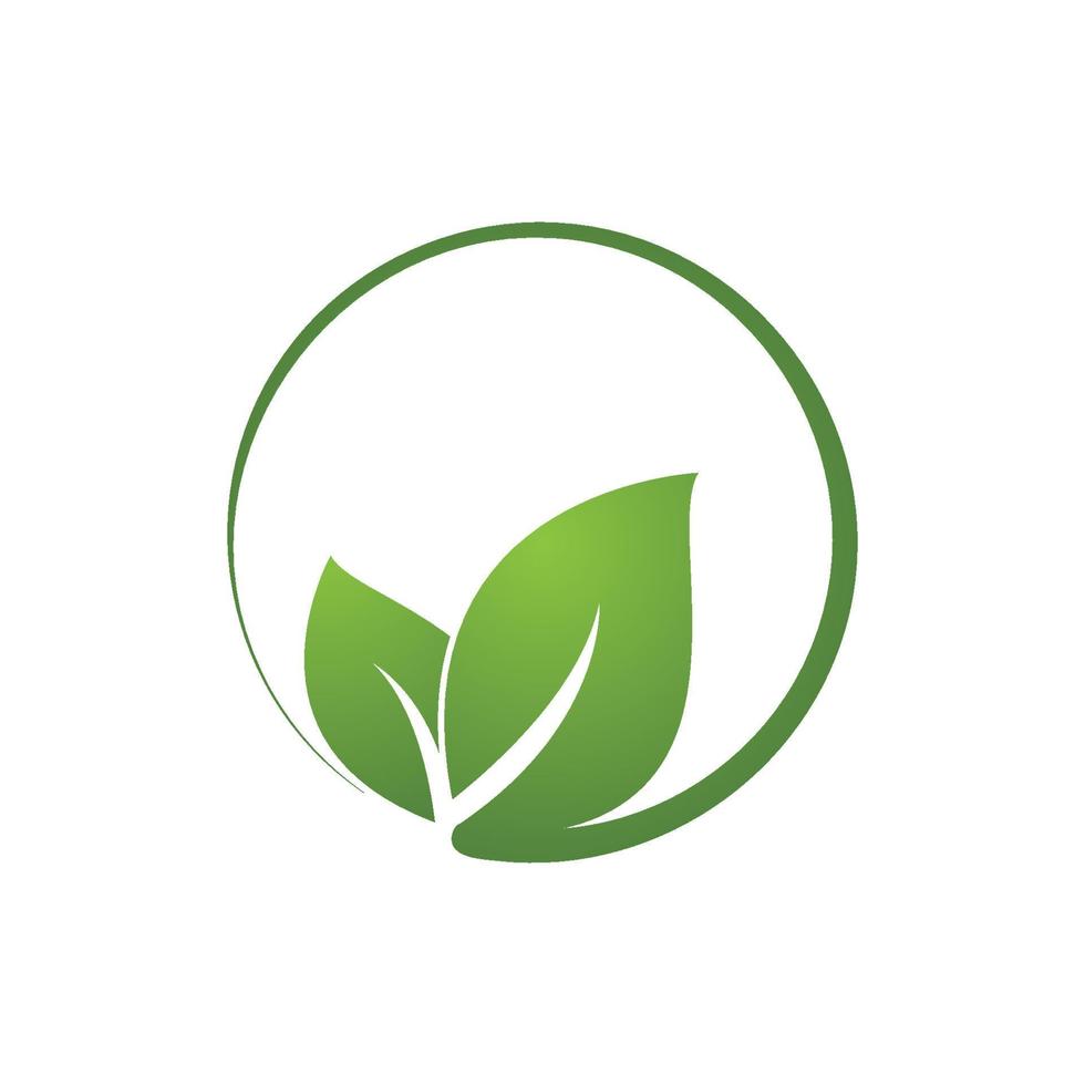 Green leaf logo vector