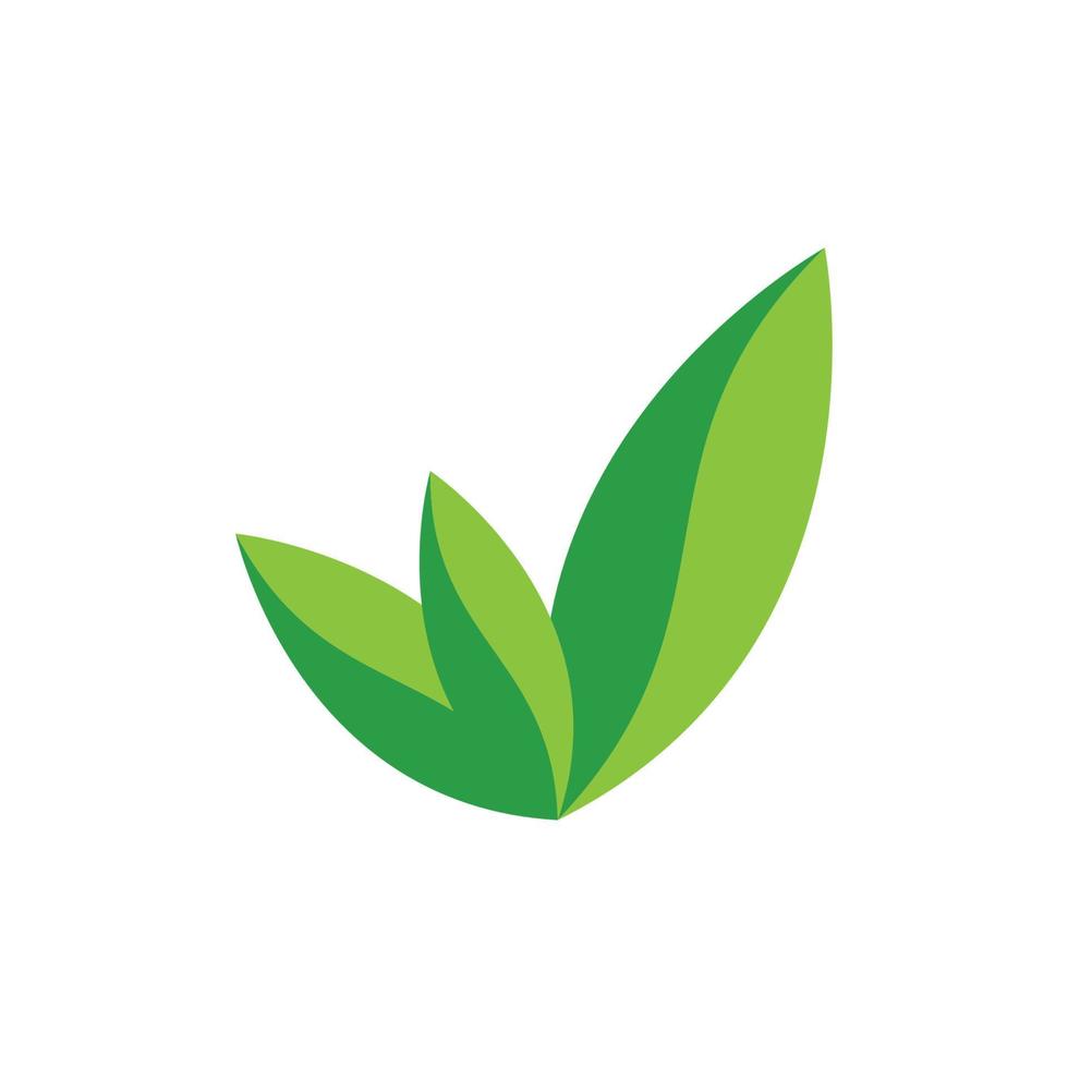 Green leaf logo vector