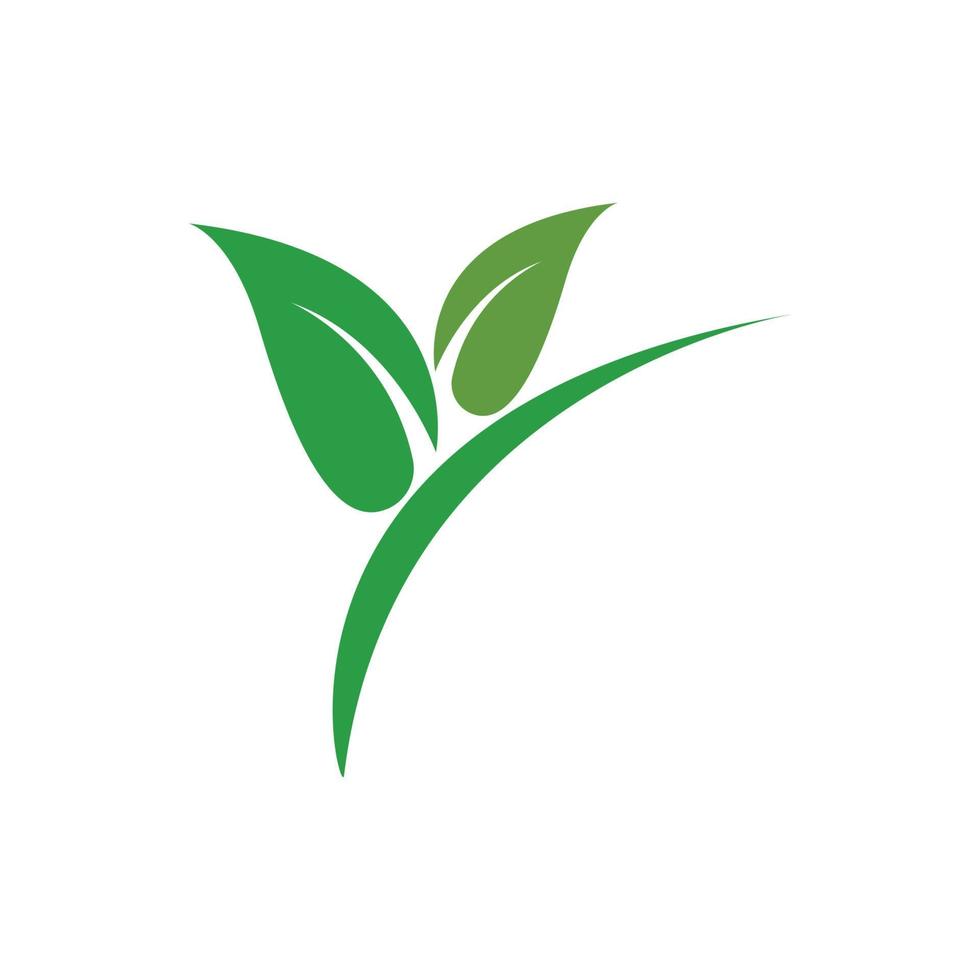 logo de hoja verde vector