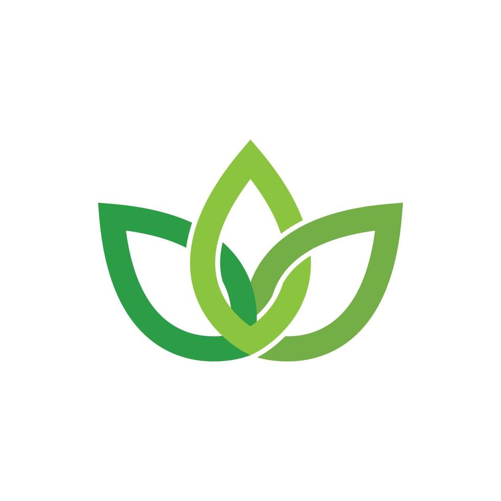 Green leaf logo vector