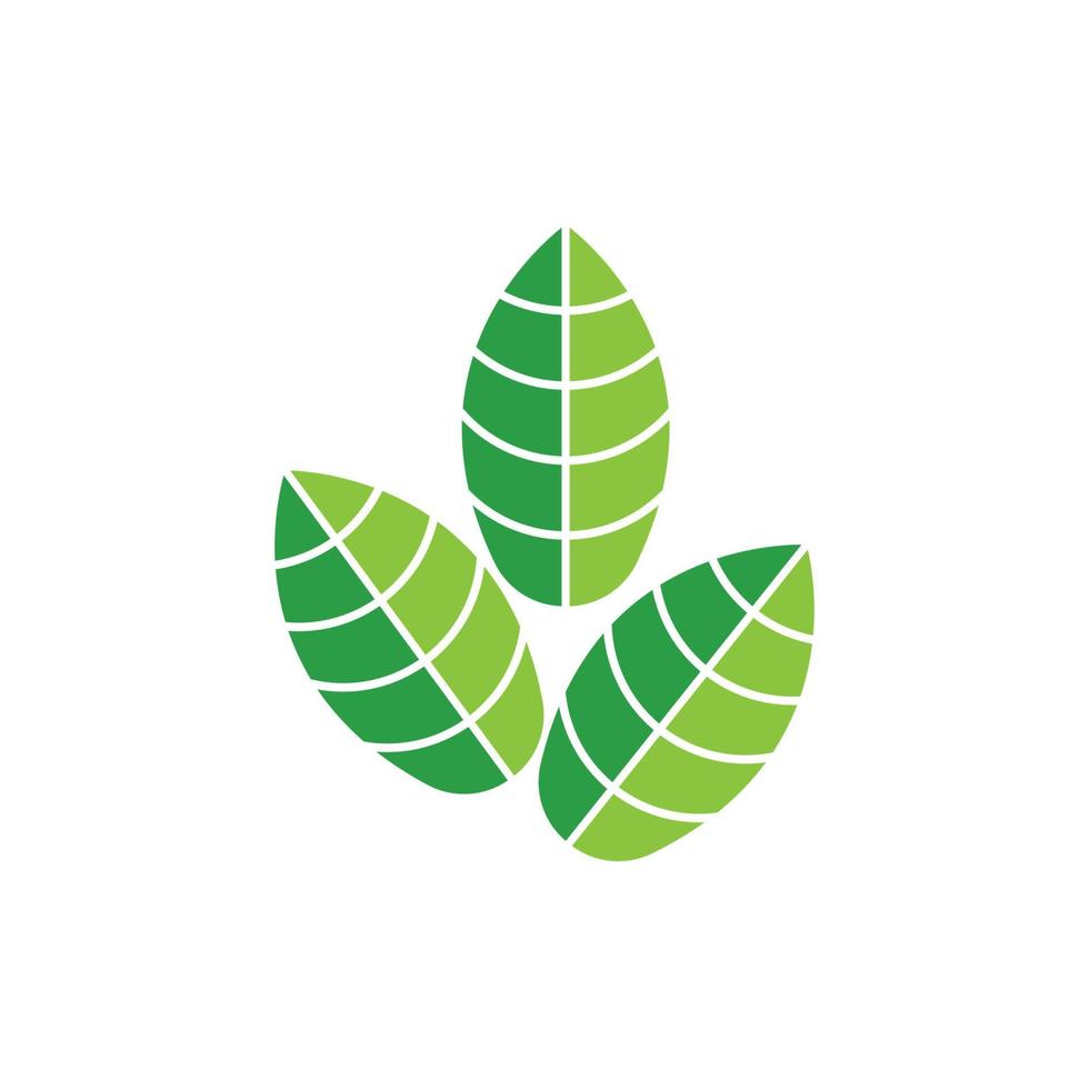 logo de hoja verde vector