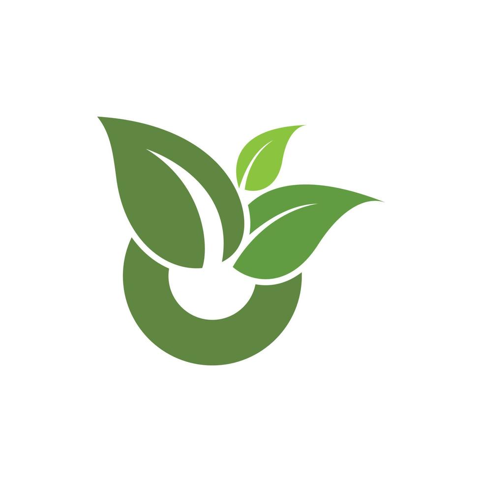 logo de hoja verde vector