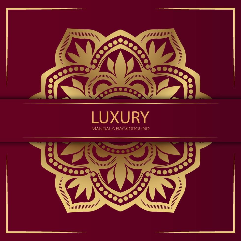 Luxury mandala background, vector design 013