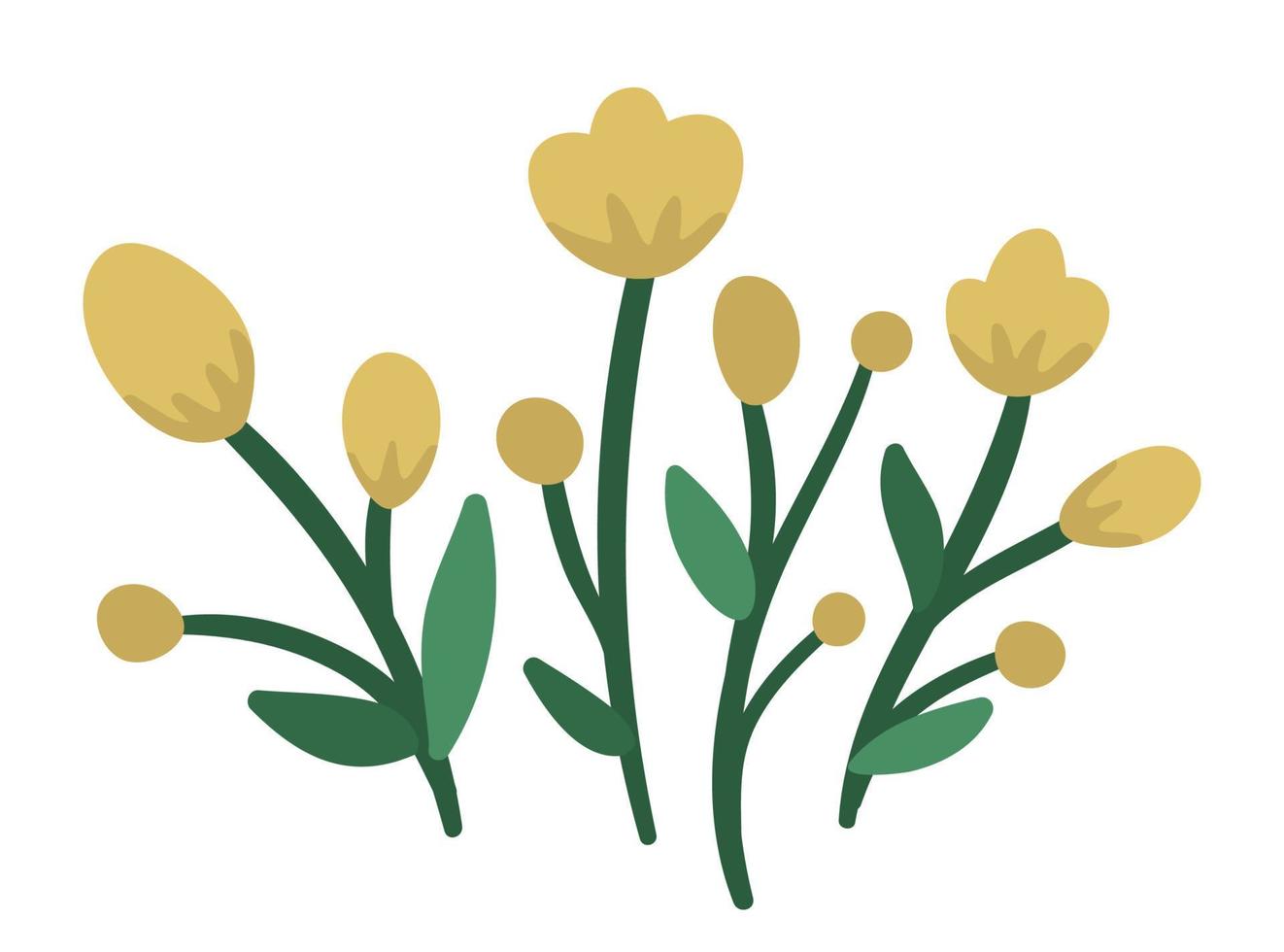 Vector illustration of yellow flower arrangements. Garden decorative plants bouquet. Collection of beautiful spring and summer herbs and flowers.