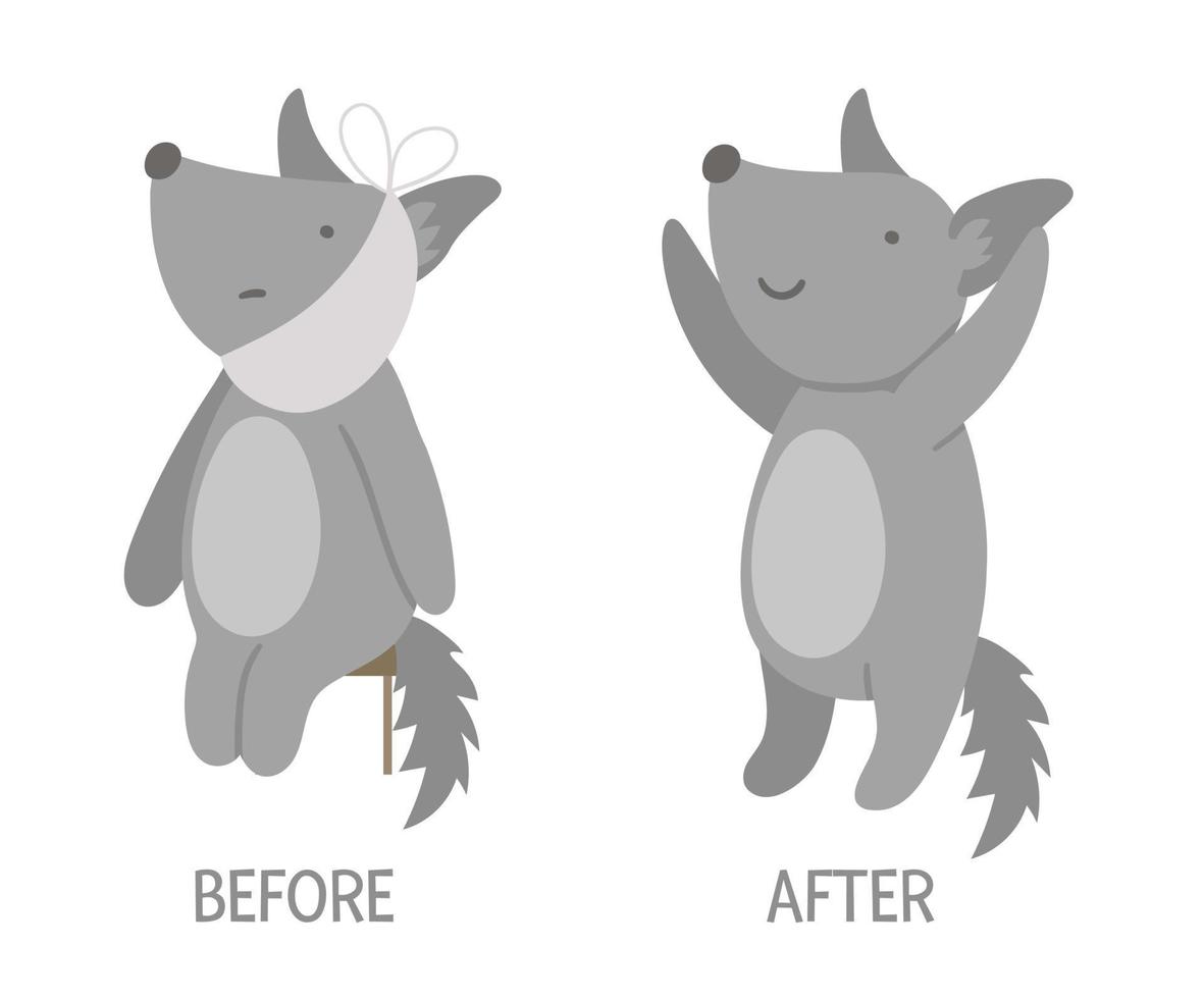 Vector ill animal versus healthy. Cute wolf with bandage on its face. Funny patient characters. Medical illustration for children. Before and after illness picture. Recovery concept