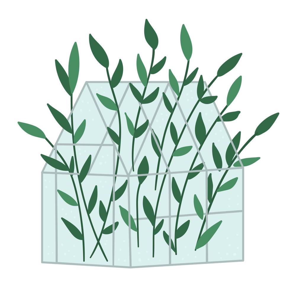 Vector greenhouse with green plants. Flat hot house illustration isolated on white background. Side view greenroom picture. Spring garden illustration.