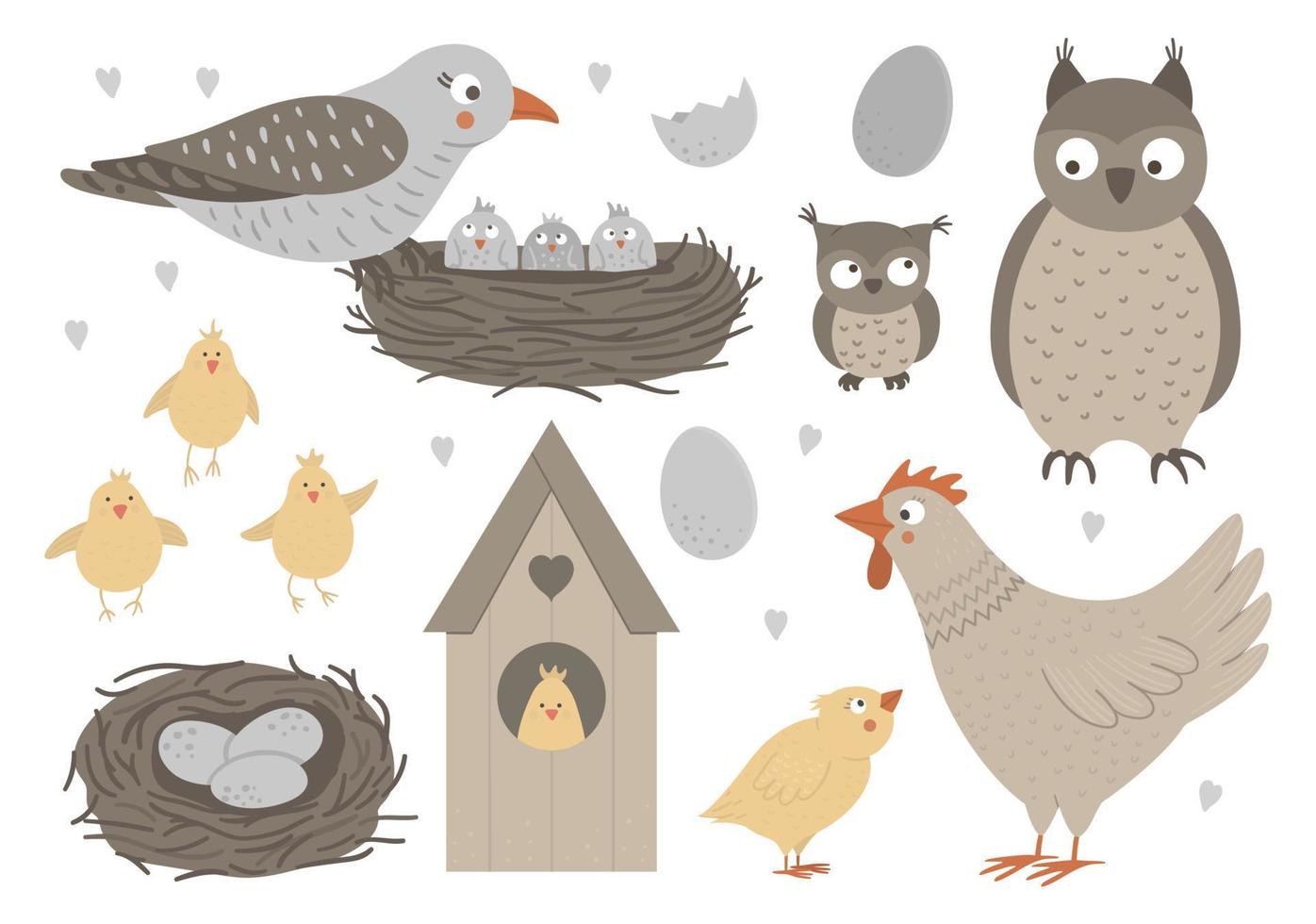 Vector set of hand drawn flat baby birds with parents, nests, eggs. Funny woodland animal scene showing family love. Cute forest animalistic illustration for Mothers Day design