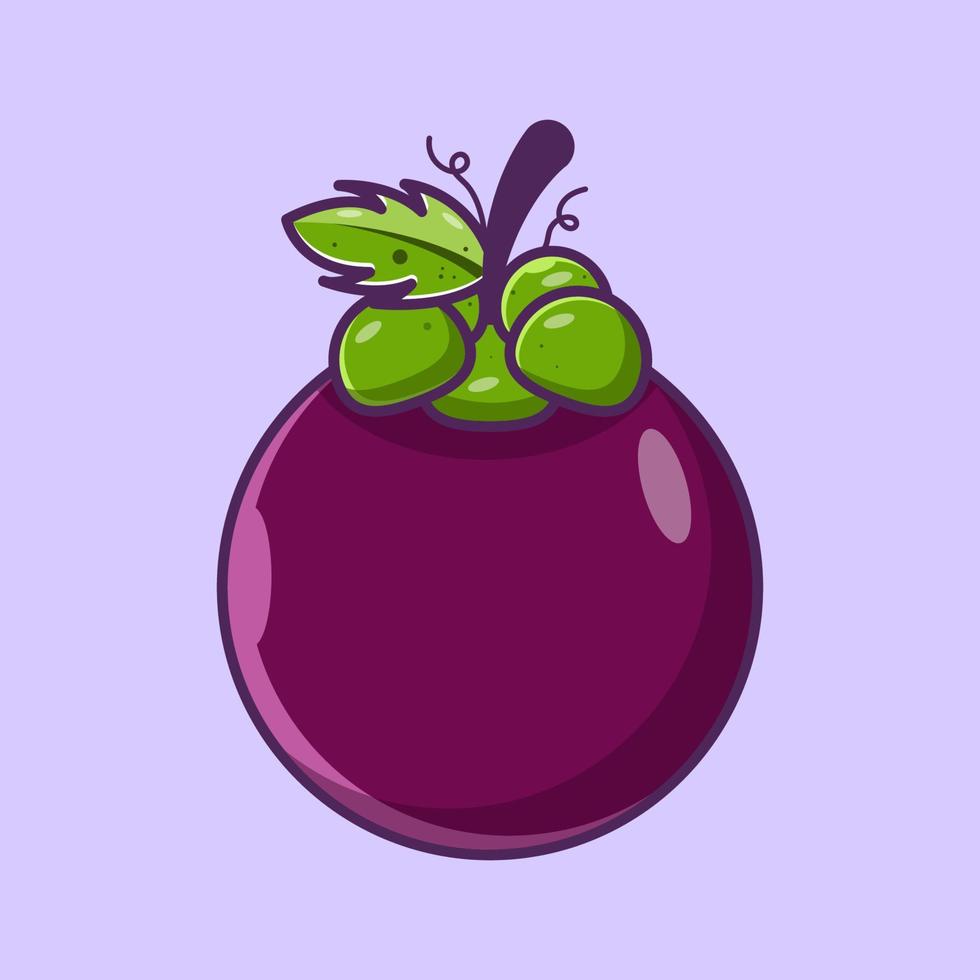 Mangosteen fruit illustration cartoon mangosteen vector