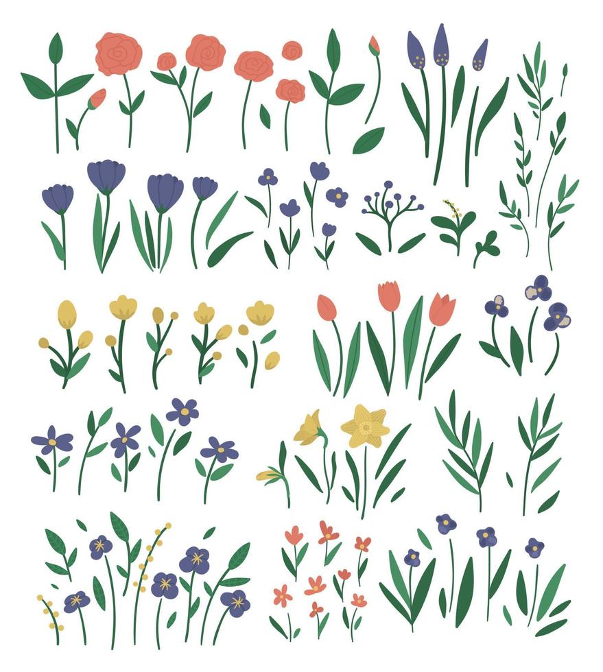 Big vector set of different flower elements. Garden decorative plants illustration. Collection of separate beautiful spring and summer herbs and flowers.
