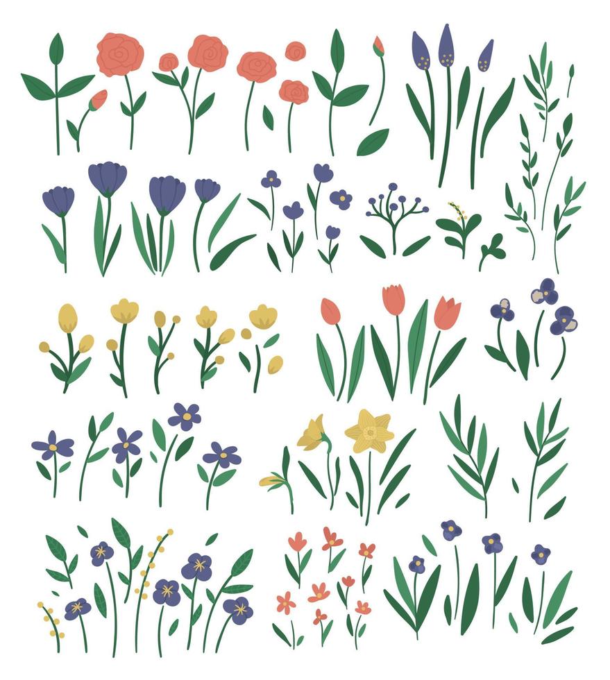 Big vector set of different flower elements. Garden decorative plants illustration. Collection of separate beautiful spring and summer herbs and flowers.