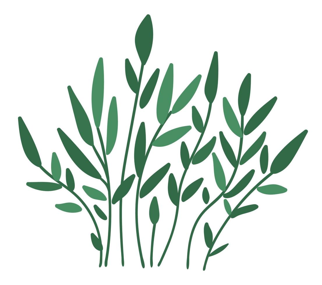 Vector illustration of green branches arrangement. Garden decorative plants bouquet. Collection of beautiful spring and summer herbs.