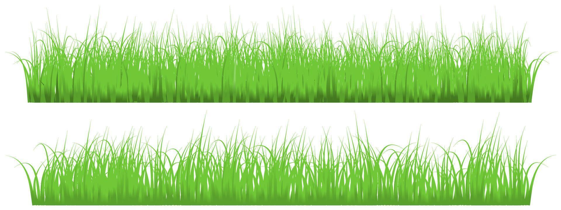 green grass banner vector isolated on white background