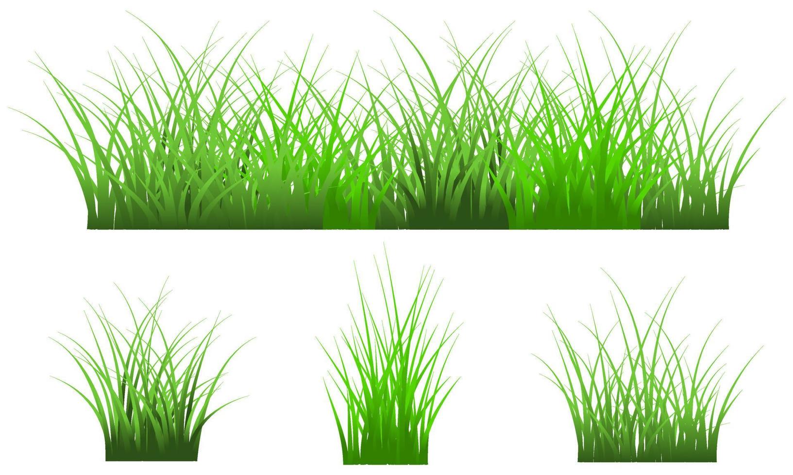 hierba verde aislada sobre fondo blanco, conjunto de hierba de vector libre