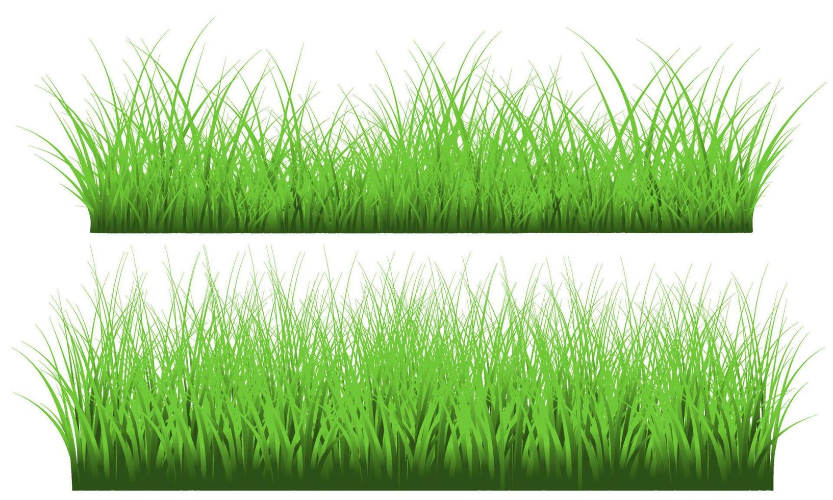grass free vector