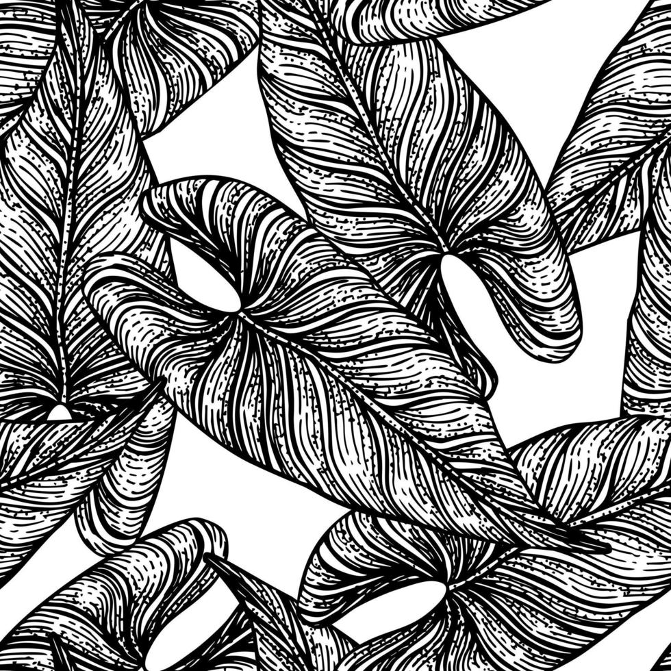Tropical araceae leaf seamless pattern. Jungle leaves background. vector