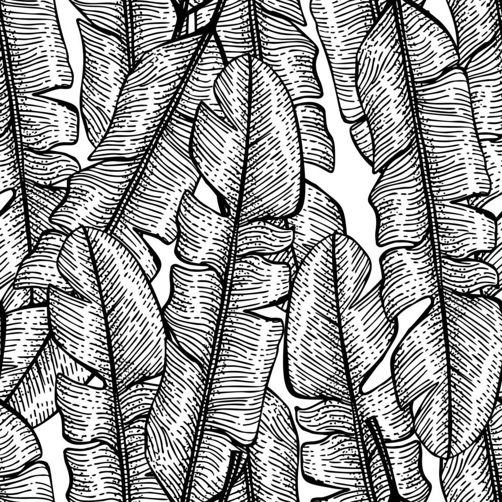 Tropical banana leaf seamless pattern. Jungle leaves background. vector