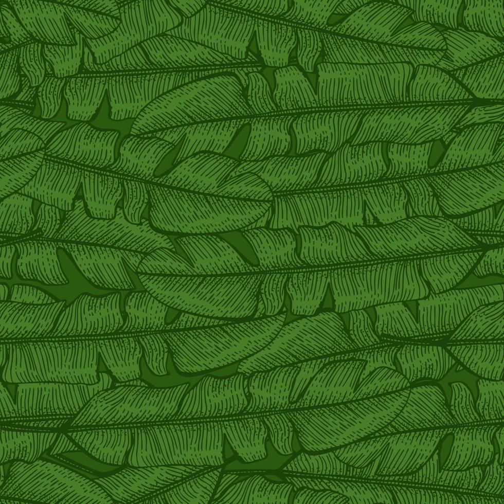 Tropical banana leaf seamless pattern. Jungle leaves background. vector