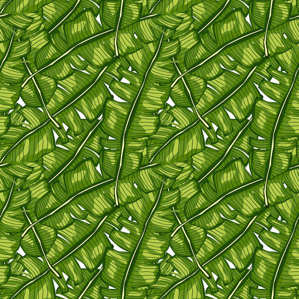 Banana leaf tropical seamless pattern. Jungle leaves background. Rainforest wallpaper. vector