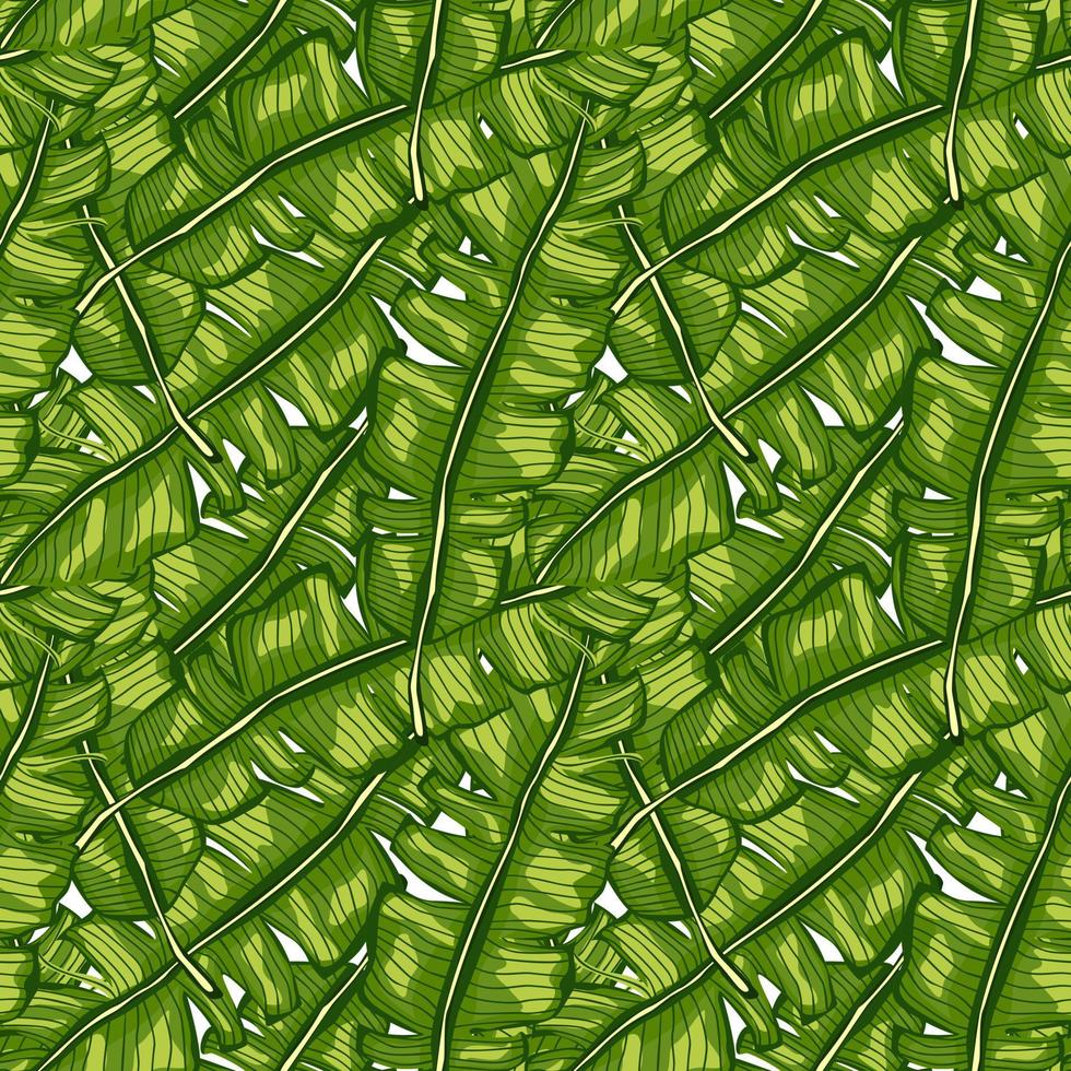 Banana leaf tropical seamless pattern. Jungle leaves background. Rainforest wallpaper. vector