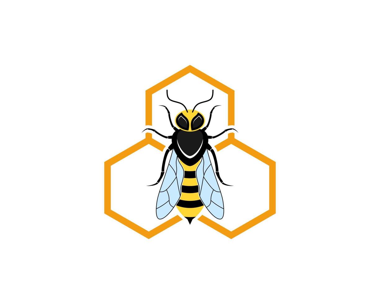 Bee Hornet in hexagonal shape vector