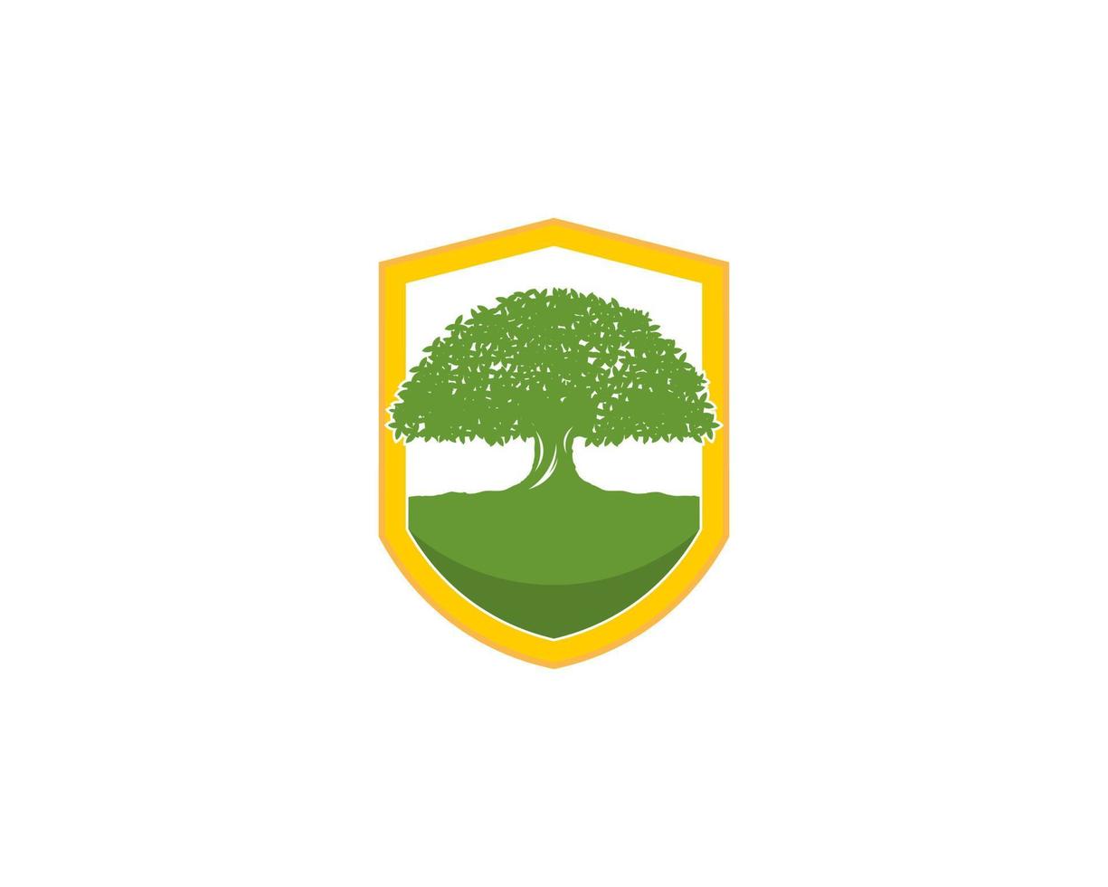 Dense tree inside the golden shield vector
